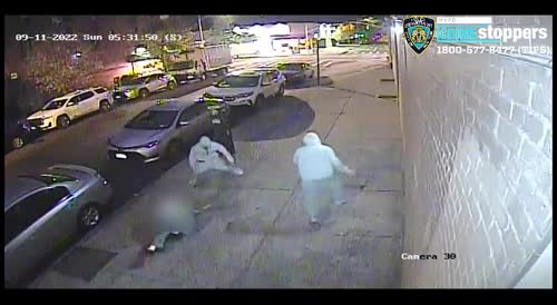 Queens: The suspects forced a 66-year-old male victim to the ground & removed his property