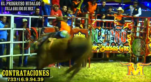 Bullfighter stomped in mexico