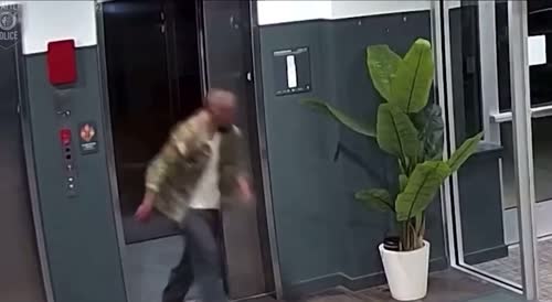 Lunatic attacks woman in elevator(R)