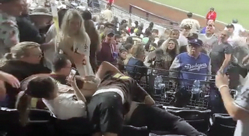 Dodger's Fan Gets Pummeled During Baseball Game
