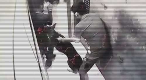 Dog Attacks Delivery Man Inside an Elevator