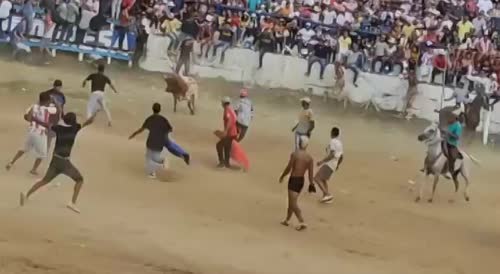 Bull attack in Colombia