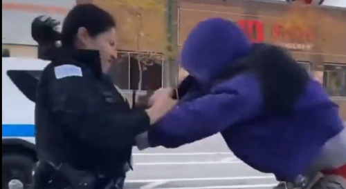 Female Chicago Cop Getting Into a Scuffle With Suspect