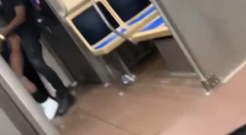 Sex On Chicago Train