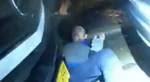 Scum Stealing From Cars Caught By NYPD Officer