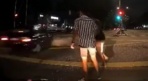 Malay Frogger Learns Fast