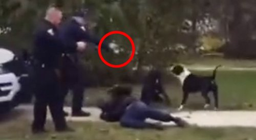 Cop Shoots Dogs Attacking Man