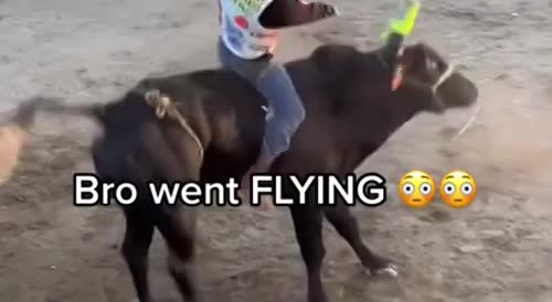 Bull Rider Sent Flying