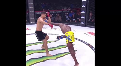 MMA Fighter Breaks His Leg