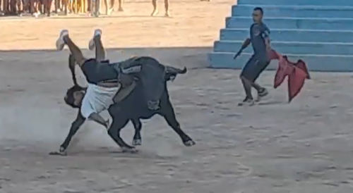 Evil Bull From Spain