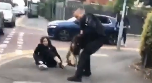 Police Dog Attacked Random Woman In The UK