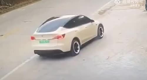 Tesla car takes off at high speed trying to park in China, kills two