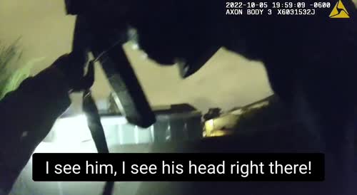 New Mexico: An Albuquerque police officer exchanges fire with a carjacking suspect
