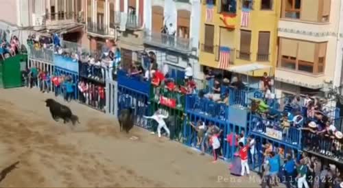 Several killed in Spain by bulls.