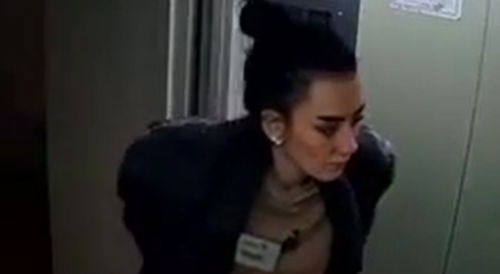 Woman Marks Territory in Russian Elevator