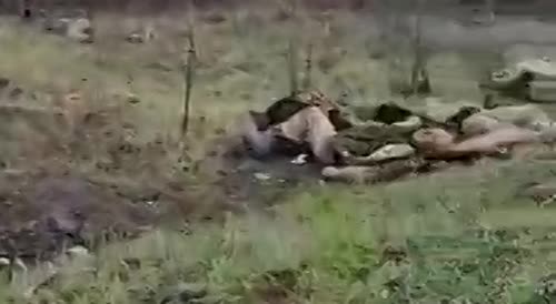 Russian Troops Clearing Armed Ukrainians out of Trenches