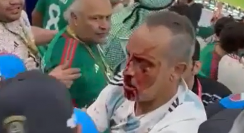 Argentina and Mexico fans throw punches in stands