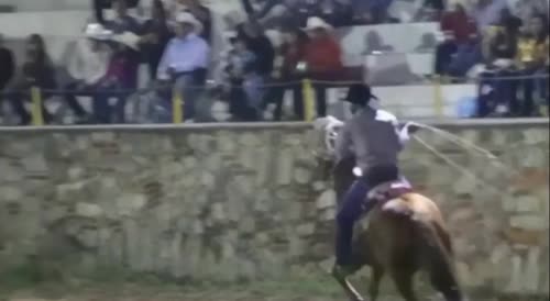 A bull attacked a show in Mexico
