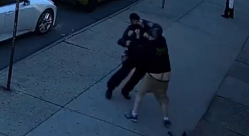 NYC Driver, Traffic Agent Brawl Over Parking Ticket in Brooklyn