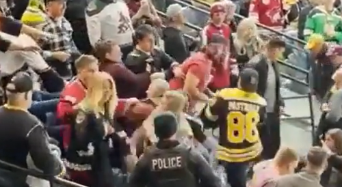 Hockey Fans Fight: Coyotes VS Bruins Fans
