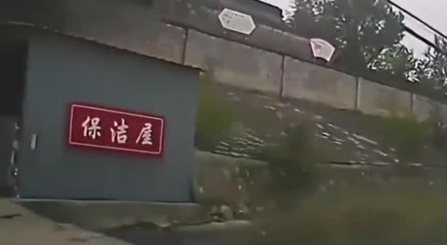 When a truck's brakes fail in China