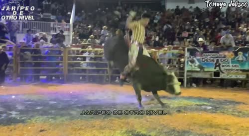 Bullfighter Gets A Seizure
