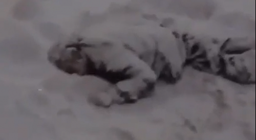 Man Frozed To Death Infront Of The Hospital In Russia