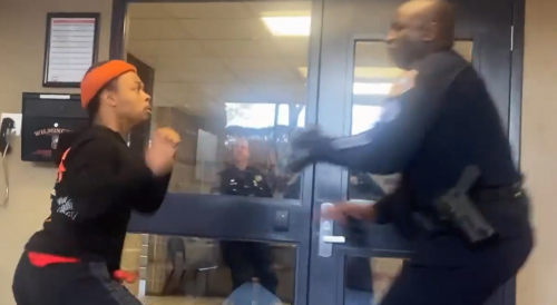 When You Try to Punch a Cop in a Police Station