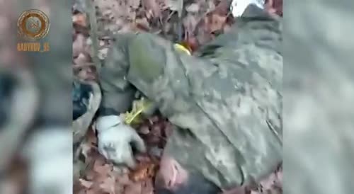 Dead Ukrainian soldiers after a Russian counter-attack
