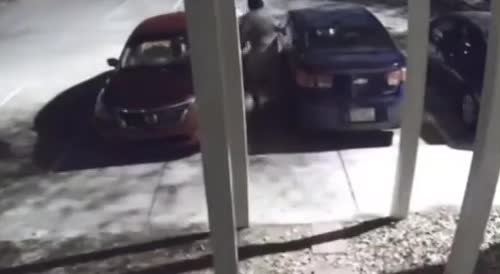 When you want to steal the wrong car