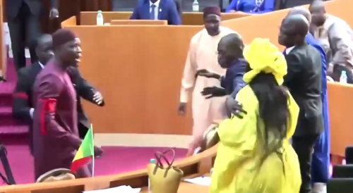Brawl breaks out in Senegal parliament after male lawmaker slaps female colleague