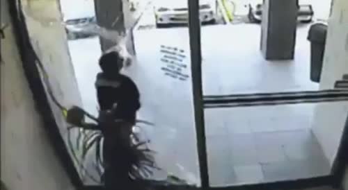 SHOPLIFTER CRASHES INTO GLASS