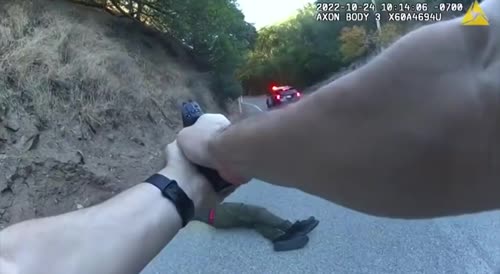 Armed Domestic Abuser Shot Dead By California Cop
