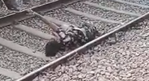 Vendor Loses Both Legs After Cop Pushed Him on Train Tracks