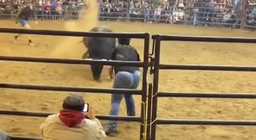 When a bull has no respect for a woman