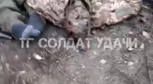 Destroyed Ukrainian militants