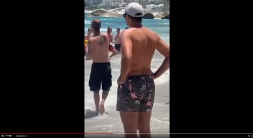 Greek seal attacks on tourists