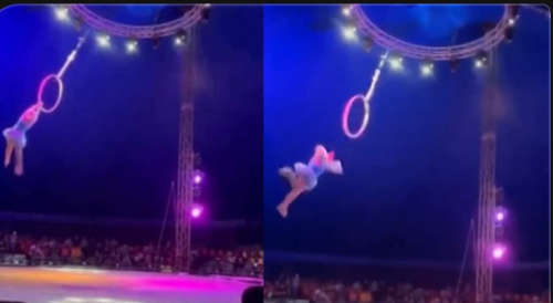 Mexican Circus Female Trapeze Artist Falls
