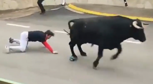 Best Highlights from the Latest "Running of the Bulls"
