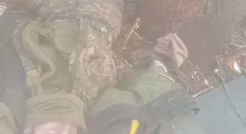 Destroyed Ukrainian military in captured positions
