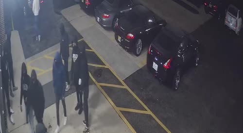 Team of burglars caught on camera stealing 6 luxury vehicles from Roselle car dealership