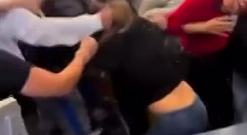 Not Even Spiderman Could Stop This Brawl