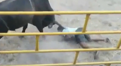 Man gets ripped open by Nicaraguan bull.