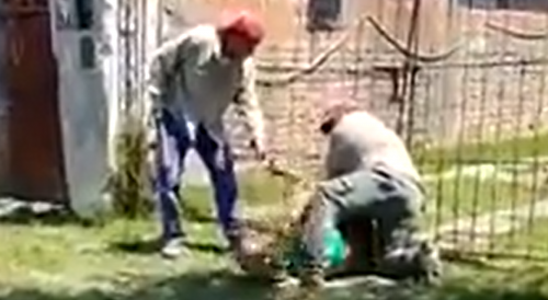 Thief Gets Fingers Broken By Angry Workers In Argentina