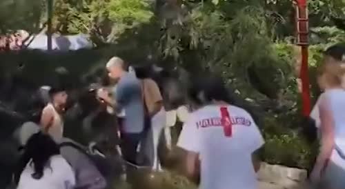 Two Injured After Tree Falls On Park Visitors In Argentina