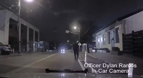 Man Waving Gun Shot By Nashville Cop