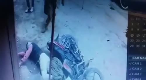 Animals Hate Biker In India