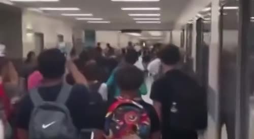 Massive school fight