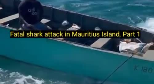 Fatal shark attack in Mauritius Island, Part 1