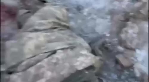 Ukrainian soldiers were ambushed